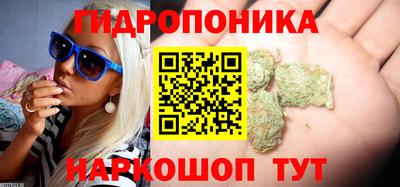 соль курить ск Аргун