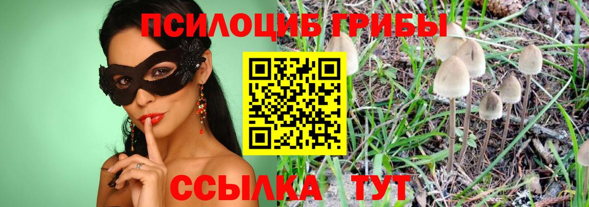 Псилоцибиновые грибы прущие грибы  Вход с VPN  Галлюциногенные грибы Psilocybe  Бугуруслан 